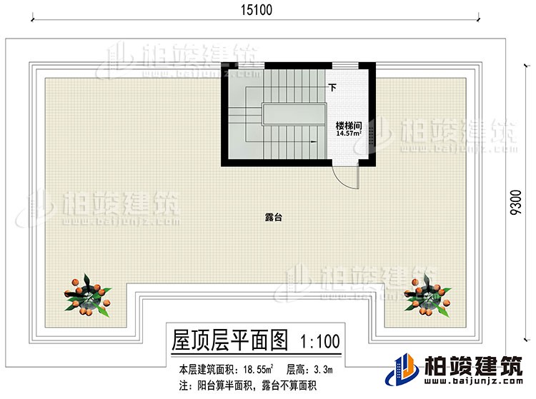 屋頂：樓梯間、露臺(tái)